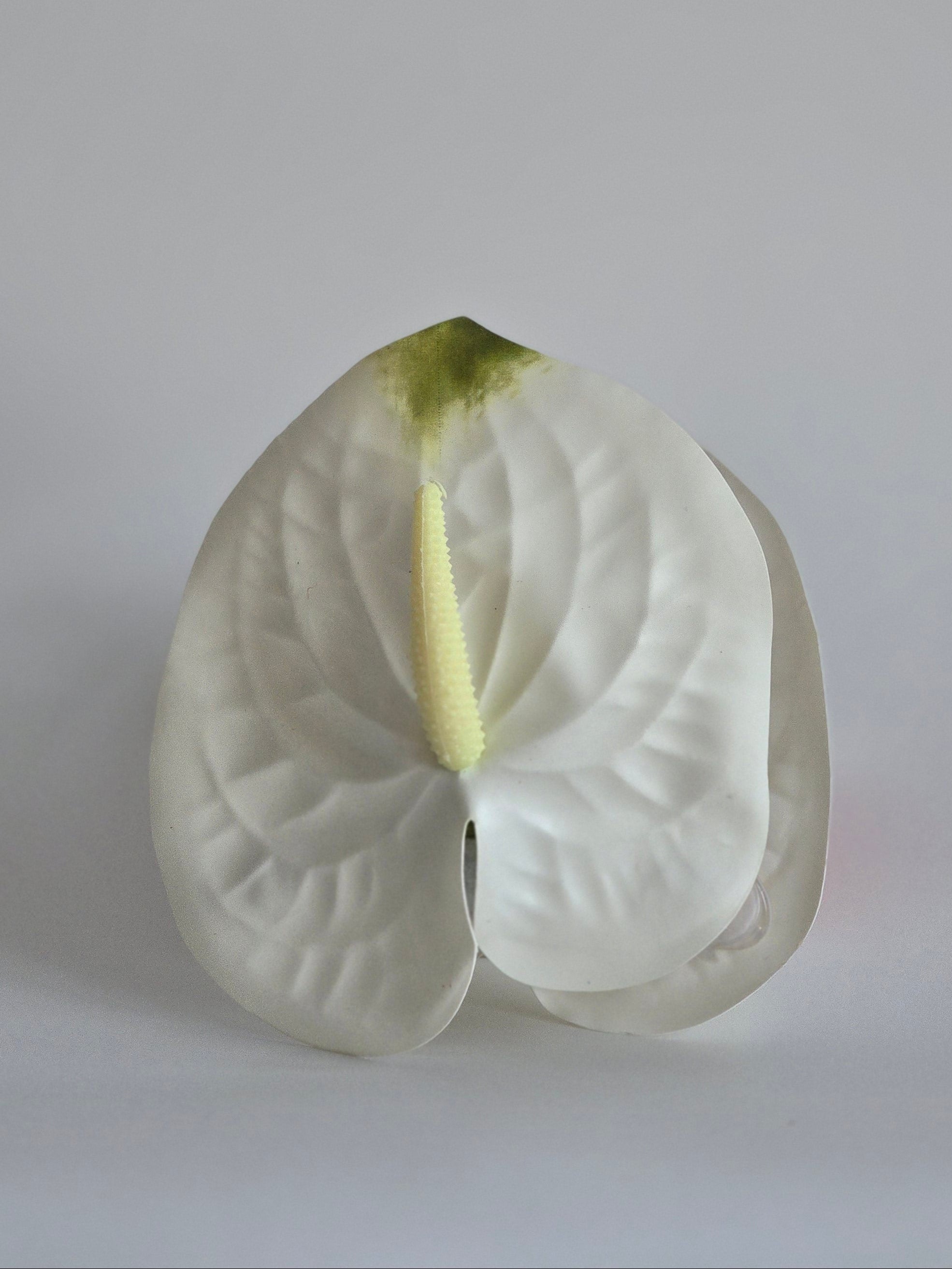 Sculptural Collection