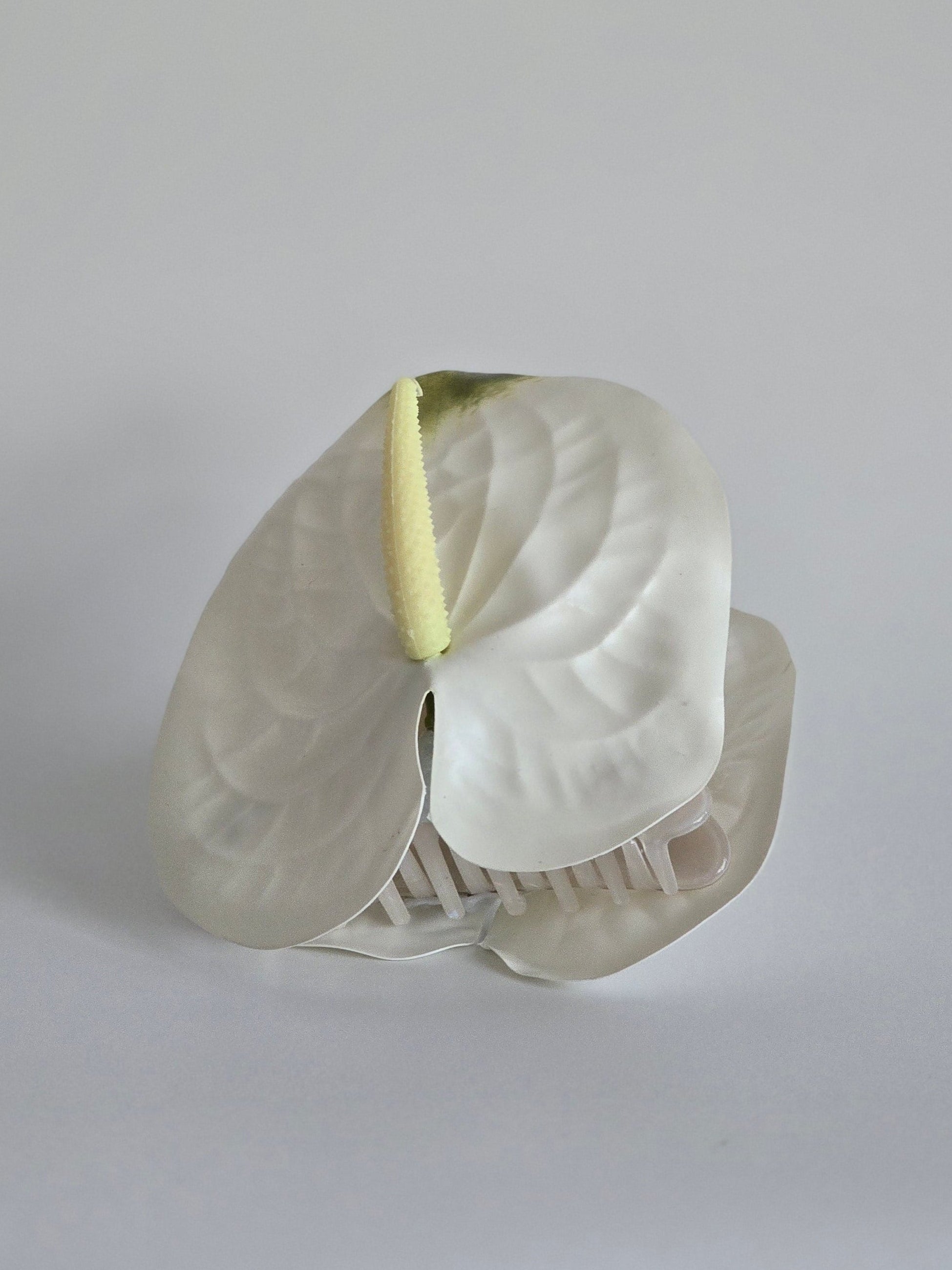anthurium claw clip Ivory Anthurium Clip – Golden Hour Florals