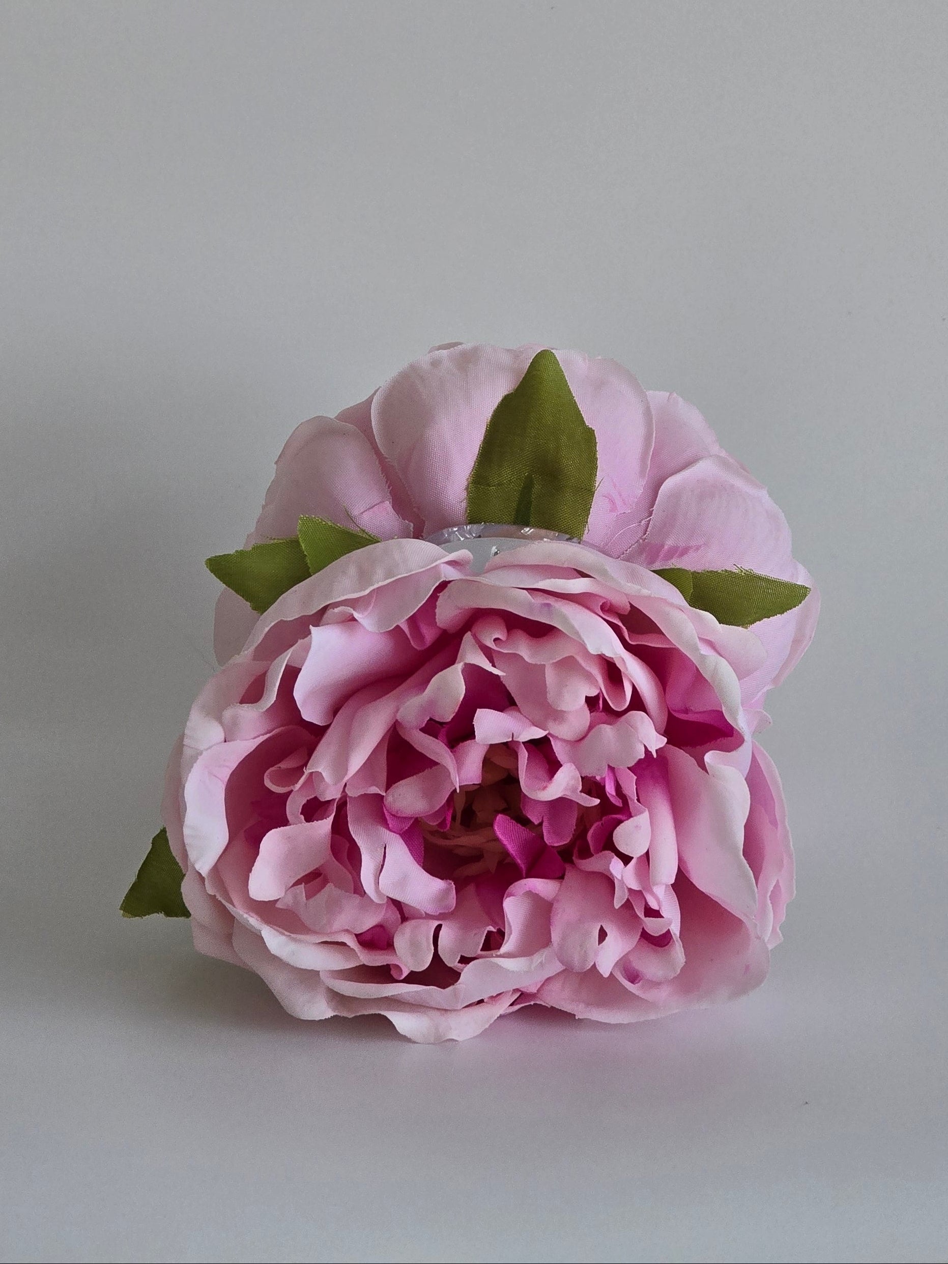 Blush Peony Clip
