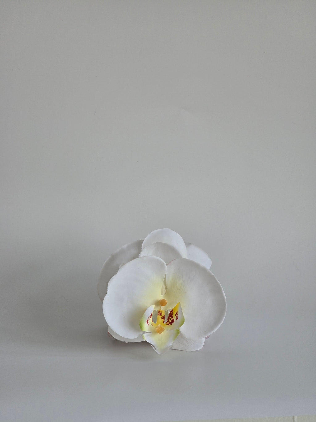 White Orchid Clip