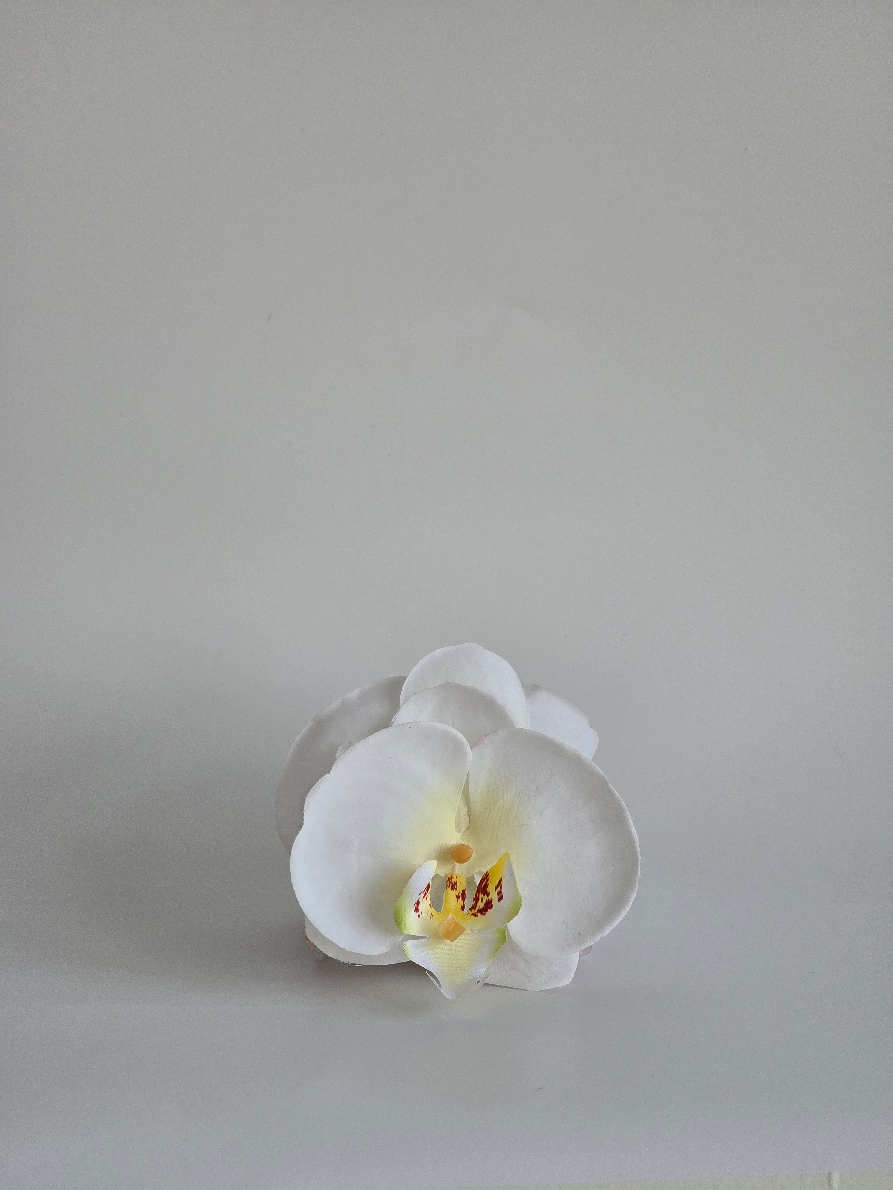 White Orchid Clip