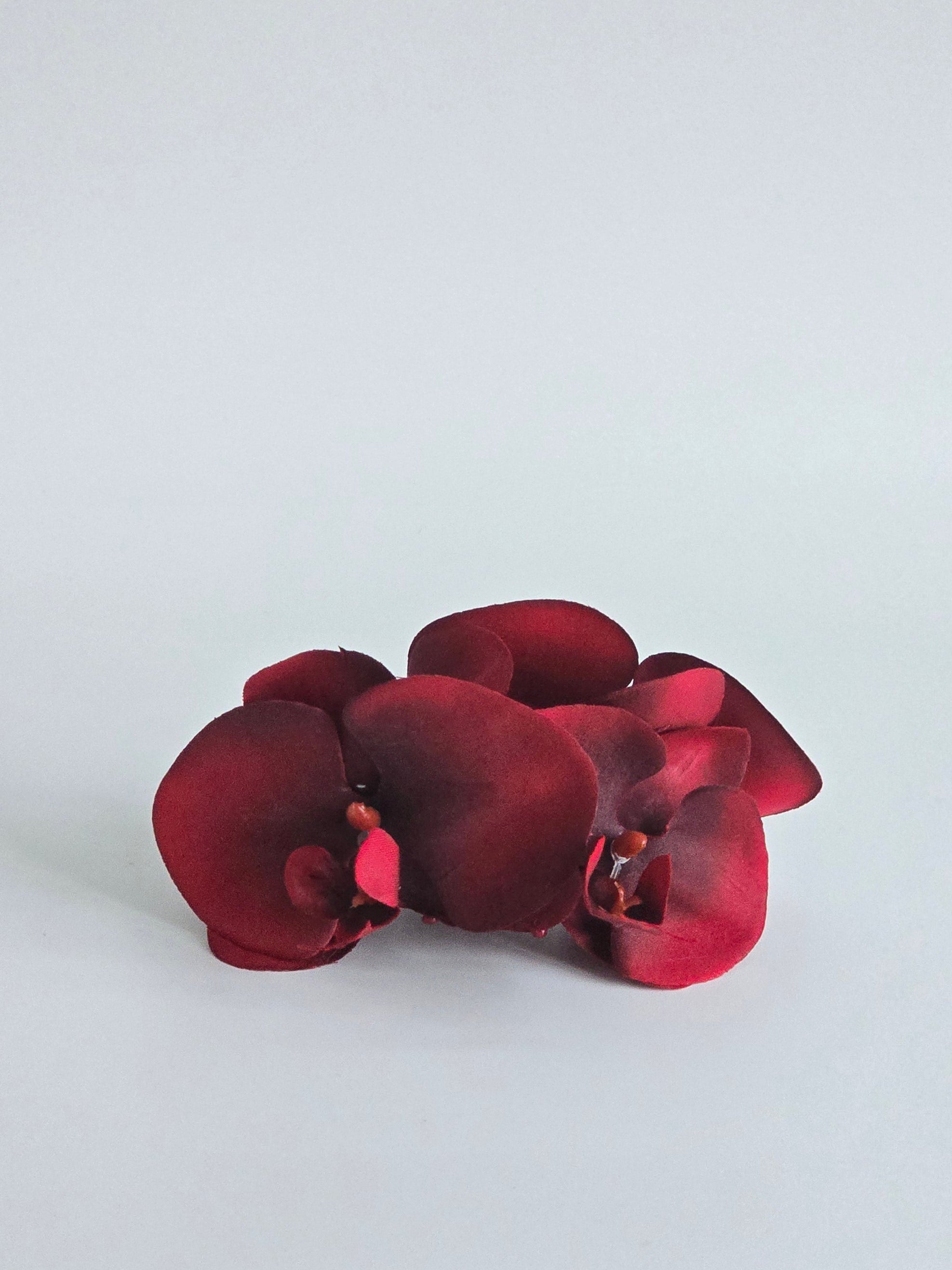 The Red Orchid Clip